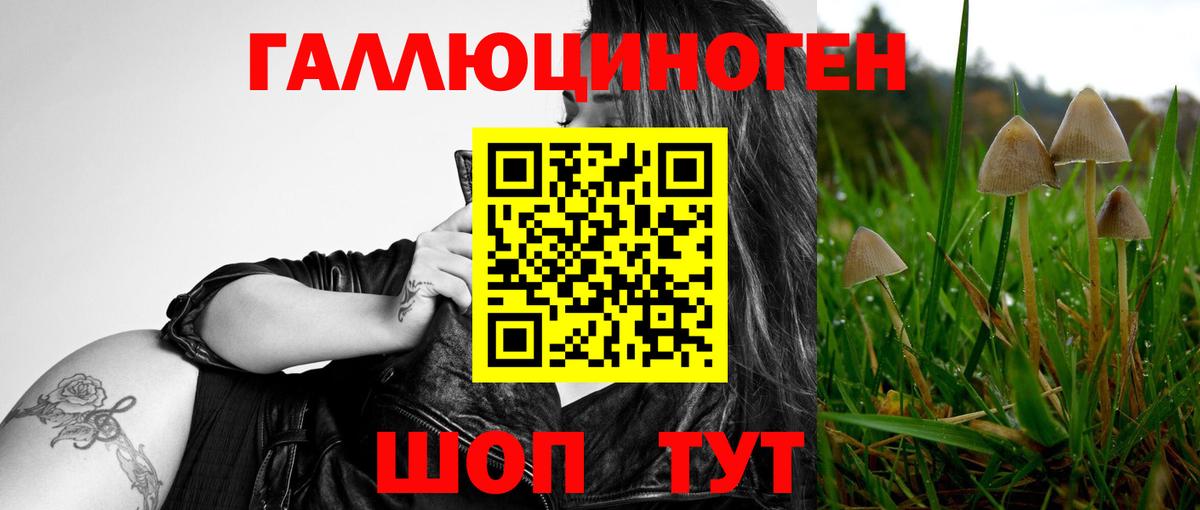 цена   Псилоцибиновые грибы мухоморы  Вход с VPN  Прокопьевск 